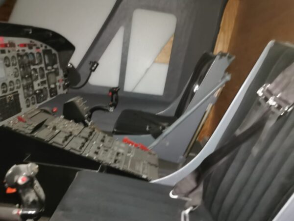 Simulation Flight 412 - Image 32
